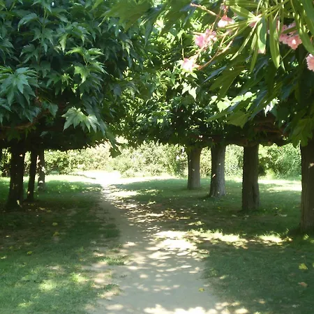 Stylish Large House With Heated Pool In Historic Village * Bize-Minervois