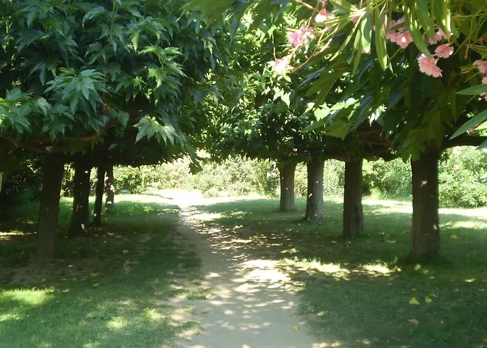 Stylish Large House With Heated Pool In Historic Village * Bize-Minervois